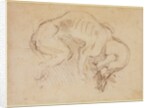 Study of a dog by Michelangelo Buonarroti