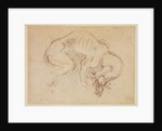 Study of a dog by Michelangelo Buonarroti