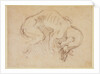 Study of a dog by Michelangelo Buonarroti