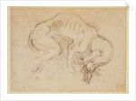 Study of a dog by Michelangelo Buonarroti