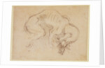 Study of a dog by Michelangelo Buonarroti