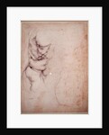 Study of torso and buttock by Michelangelo Buonarroti