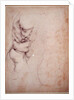 Study of torso and buttock by Michelangelo Buonarroti
