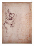 Study of torso and buttock by Michelangelo Buonarroti