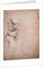 Study of torso and buttock by Michelangelo Buonarroti