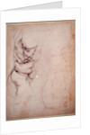 Study of torso and buttock by Michelangelo Buonarroti