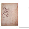 Study of torso and buttock by Michelangelo Buonarroti