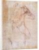 Study of a male nude by Michelangelo Buonarroti
