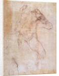 Study of a male nude by Michelangelo Buonarroti