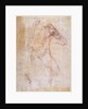 Study of a male nude by Michelangelo Buonarroti