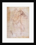 Study of a male nude by Michelangelo Buonarroti