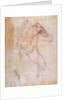 Study of a male nude by Michelangelo Buonarroti