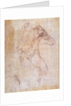 Study of a male nude by Michelangelo Buonarroti