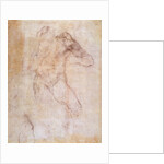 Study of a male nude by Michelangelo Buonarroti