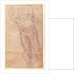 Study for 'The Resurrection', c.1532-34 by Michelangelo Buonarroti