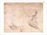 Studies of hands and an arm by Michelangelo Buonarroti