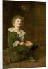 Bubbles, 1886 by John Everett Millais