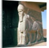 Winged human-headed bull, Neo-Assyrian Period, reign of Ashurnasirpal II by Assyrian