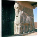 Winged human-headed bull, Neo-Assyrian Period, reign of Ashurnasirpal II by Assyrian
