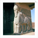 Winged human-headed bull, Neo-Assyrian Period, reign of Ashurnasirpal II by Assyrian