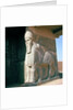 Winged human-headed bull, Neo-Assyrian Period, reign of Ashurnasirpal II by Assyrian