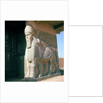 Winged human-headed bull, Neo-Assyrian Period, reign of Ashurnasirpal II by Assyrian