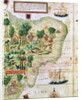 Brazil from the 'Miller Atlas' by Pedro Reinel, c.1519 by Portuguese School