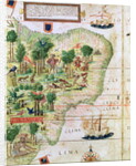 Brazil from the 'Miller Atlas' by Pedro Reinel, c.1519 by Portuguese School