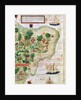 Brazil from the 'Miller Atlas' by Pedro Reinel, c.1519 by Portuguese School