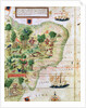 Brazil from the 'Miller Atlas' by Pedro Reinel, c.1519 by Portuguese School