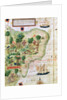 Brazil from the 'Miller Atlas' by Pedro Reinel, c.1519 by Portuguese School