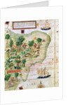Brazil from the 'Miller Atlas' by Pedro Reinel, c.1519 by Portuguese School