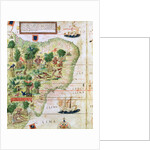 Brazil from the 'Miller Atlas' by Pedro Reinel, c.1519 by Portuguese School