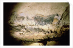 Rock painting of a black cow, c.17000 BC by Anonymous