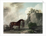 Cato and Groom by George Stubbs