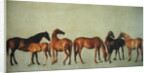 Mares and Foals without a Background, c.1762 by George Stubbs