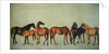 Mares and Foals without a Background, c.1762 by George Stubbs