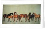 Mares and Foals without a Background, c.1762 by George Stubbs