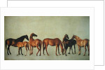 Mares and Foals without a Background, c.1762 by George Stubbs