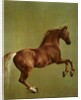 Whistlejacket, 1762 by George Stubbs