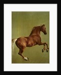 Whistlejacket, 1762 by George Stubbs