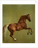 Whistlejacket, 1762 by George Stubbs