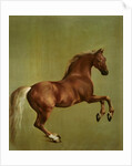Whistlejacket, 1762 by George Stubbs