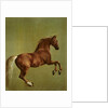Whistlejacket, 1762 by George Stubbs