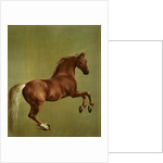Whistlejacket, 1762 by George Stubbs