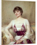 Portrait of a Countess by Albert Lynch