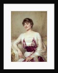 Portrait of a Countess by Albert Lynch