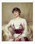 Portrait of a Countess by Albert Lynch