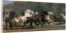 Study for the Horsemarket, 1852-54 by Rosa Bonheur