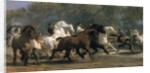 Study for the Horsemarket, 1852-54 by Rosa Bonheur